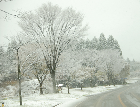 f0132391_12471435.jpg