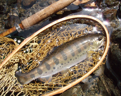 f0132391_138672.jpg
