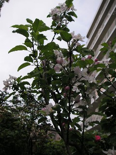 c0108693_231822.jpg