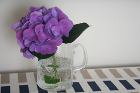 c0033994_251405.jpg