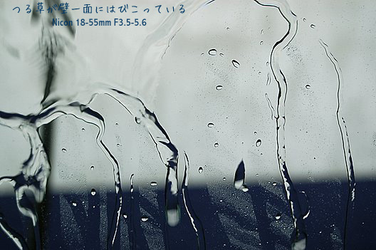 a0062697_2116244.jpg