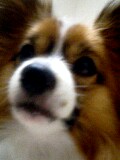 d0077607_201218.jpg