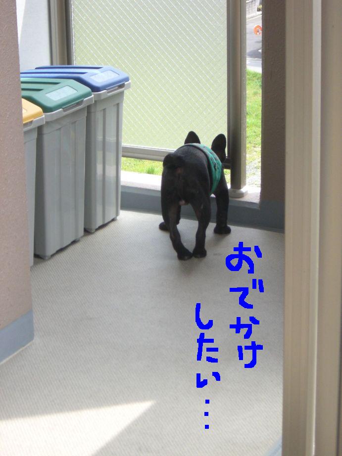 c0113109_052859.jpg