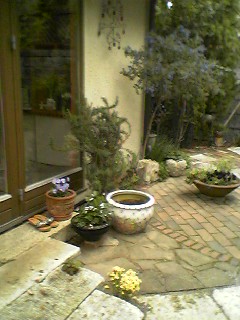 f0049813_162871.jpg