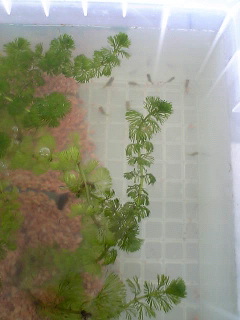 c0115117_22402677.jpg