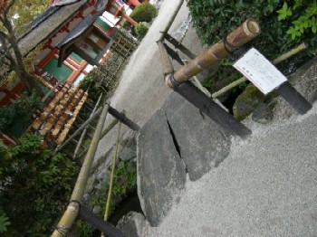 d0072318_2423423.jpg