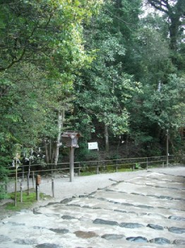 d0072318_2453711.jpg