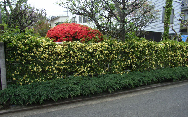 e0049318_23251378.jpg