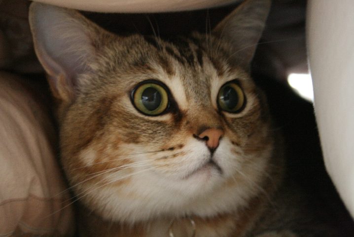 f0055228_20464753.jpg