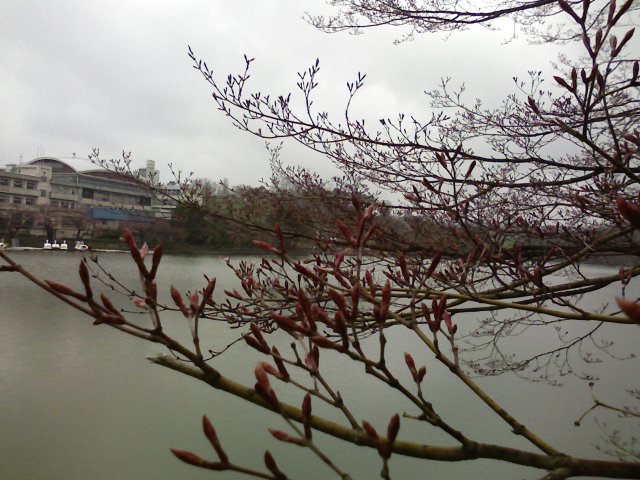 a0020929_15595482.jpg