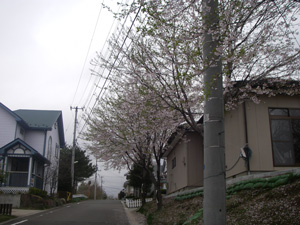 e0008833_16563882.jpg