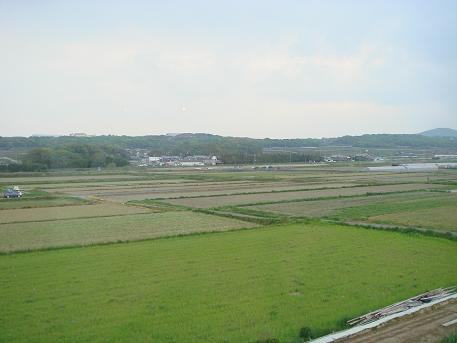 b0110035_22565918.jpg