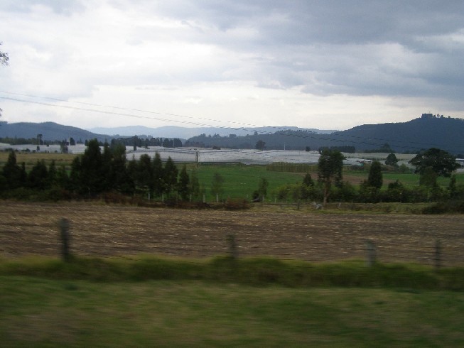 c0051938_8442335.jpg