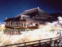 c0112140_16453799.jpg