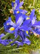 d0023742_1343826.jpg