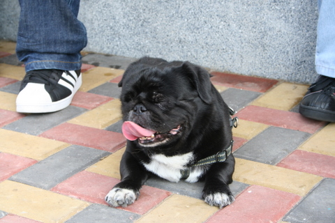e0018143_147151.jpg