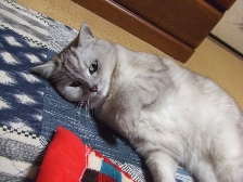 c0081552_1514101.jpg