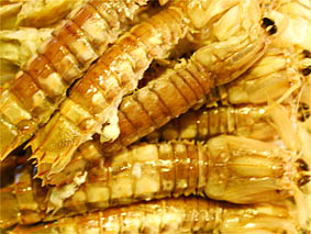f0062055_848138.jpg