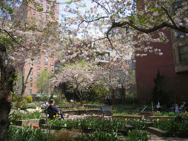 f0134855_563758.jpg