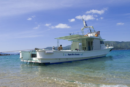 b0062363_23352618.jpg