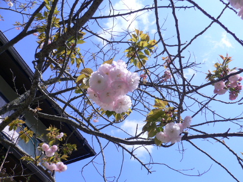 a0063364_2314299.jpg