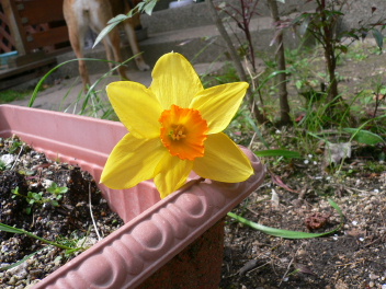 a0063364_23225261.jpg