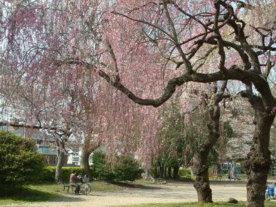 c0050264_11365687.jpg