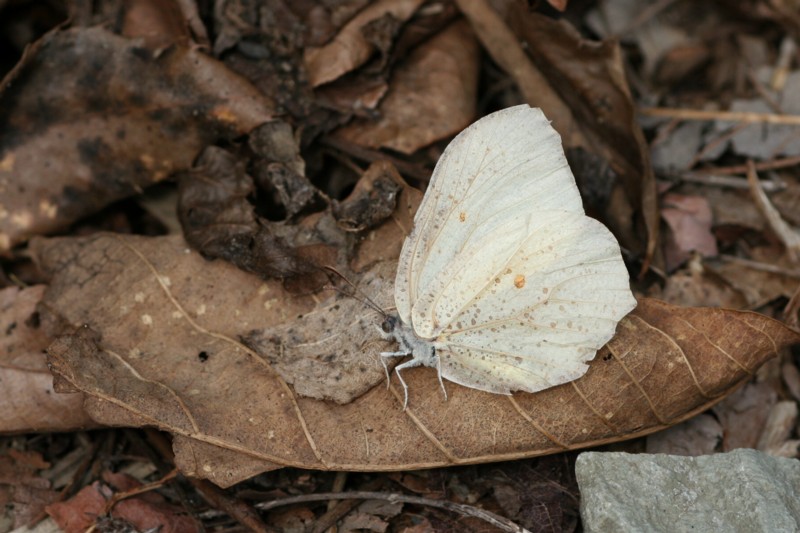 b0088772_22243771.jpg