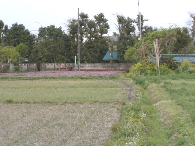 c0112172_12194231.jpg