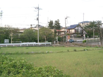 c0112172_12213127.jpg