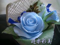 a0092074_1712572.jpg