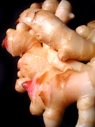 f0056476_8572424.jpg