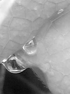 f0100480_13245286.jpg