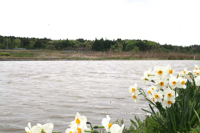 b0089483_17111679.jpg