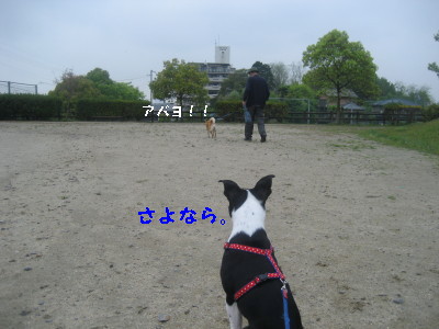 c0092787_1073749.jpg