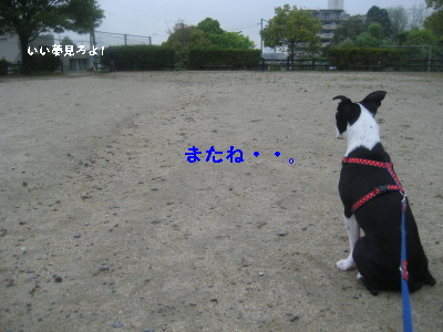 c0092787_10895.jpg