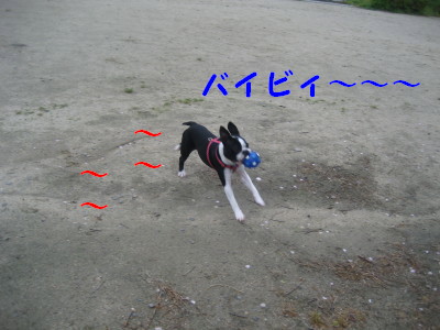 c0092787_1094328.jpg