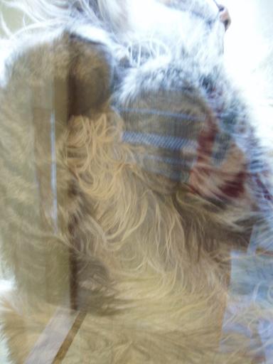 c0000189_14195081.jpg