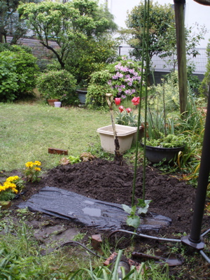 f0130894_22202130.jpg