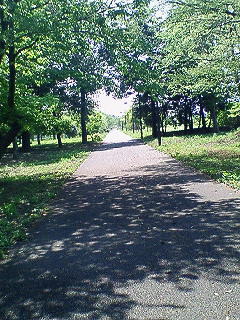 f0114900_14225555.jpg