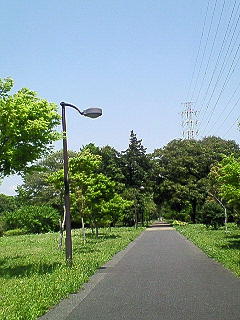 f0114900_14231086.jpg