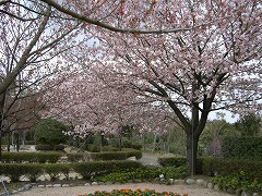 c0076204_0173429.jpg