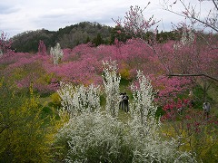 c0076204_0334589.jpg