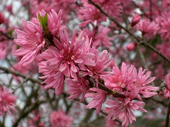 c0076204_0412494.jpg