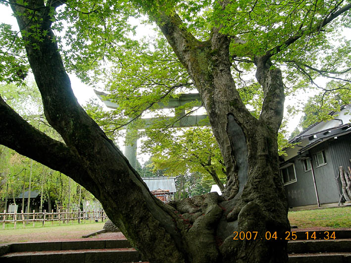 c0078410_0365899.jpg