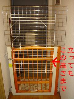 f0086814_18165261.jpg