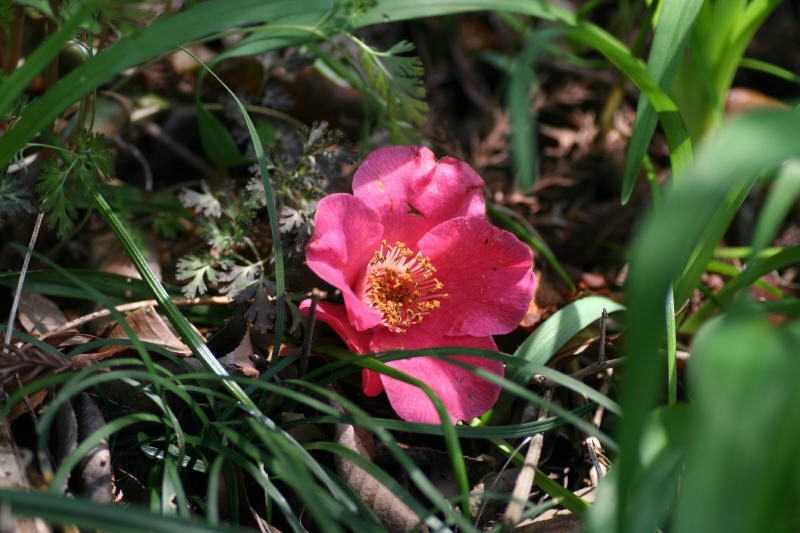f0017530_2013946.jpg