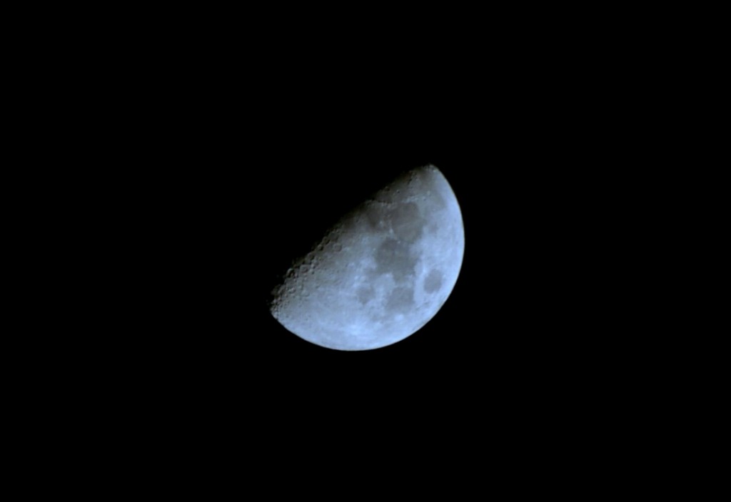 c0106831_20212832.jpg