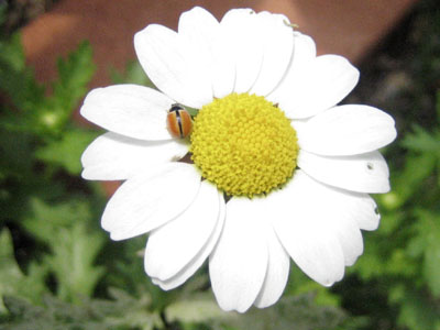 d0118933_158353.jpg
