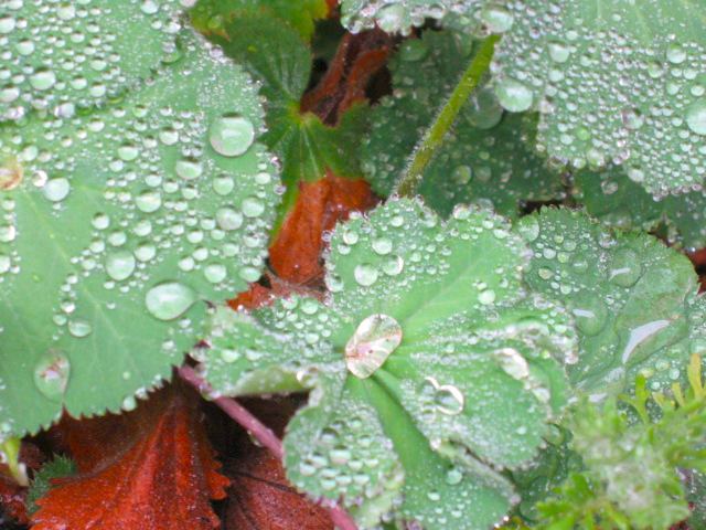 a0095337_2217148.jpg